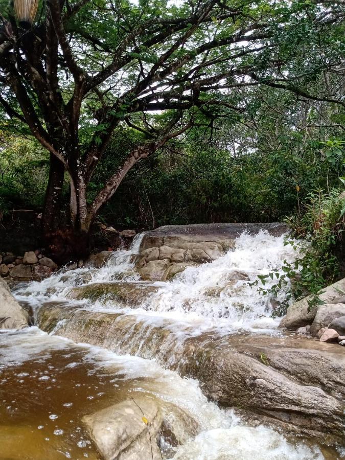 Terra De Aruanda Pousada Palmeiras  Esterno foto
